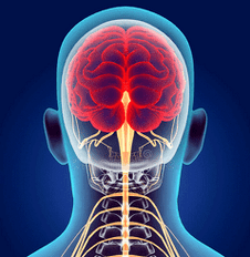 illustratie van de zenuwkanalen van de cervicale wervelkolom